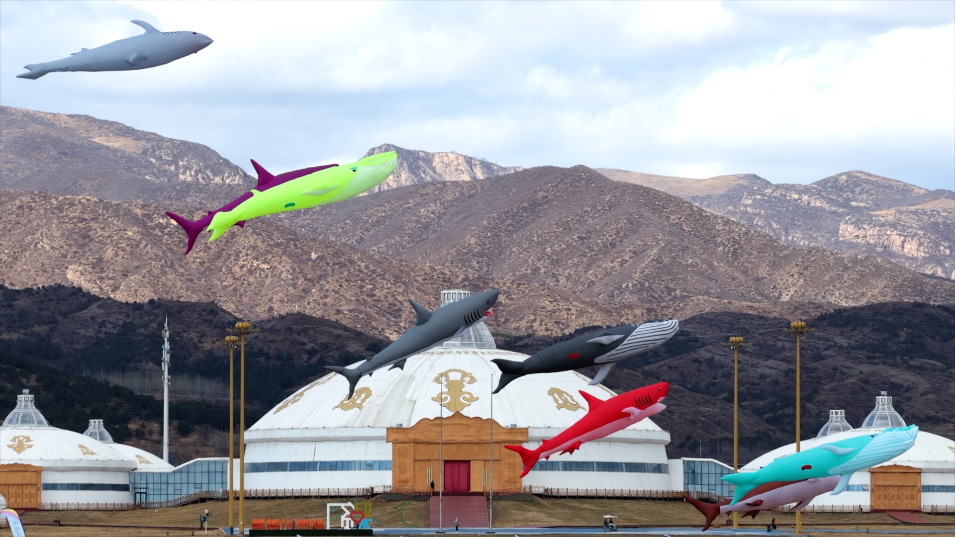 Sky-high spring celebrations as giant kites soar over Hohhot