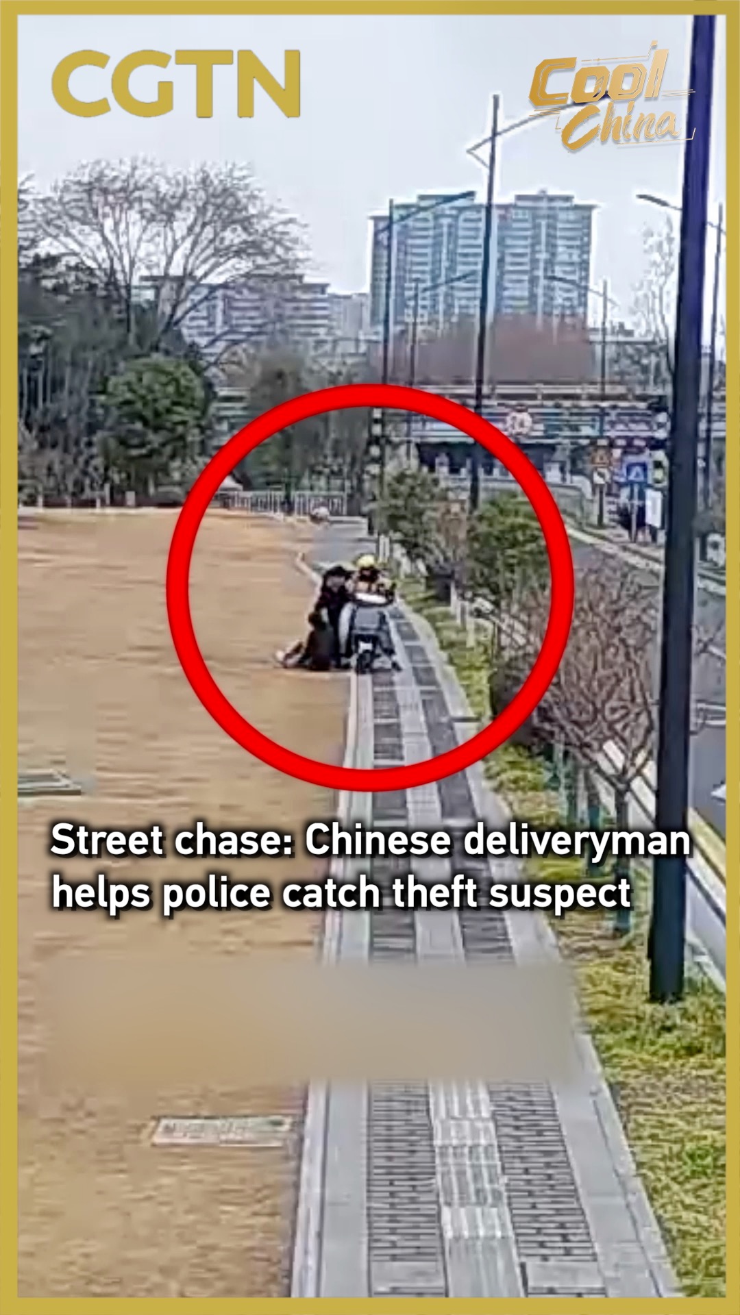 Street chase: Chinese deliveryman helps police catch suspected thief