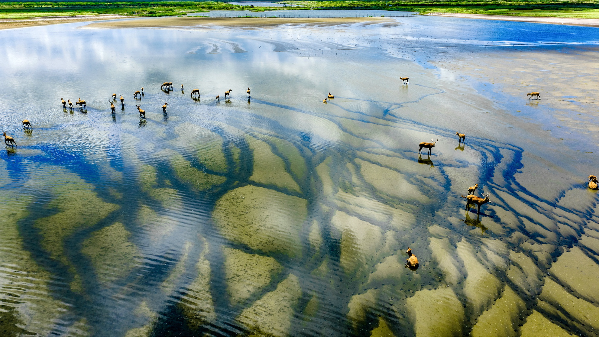 China issues guidelines on global sustainable development cooperation