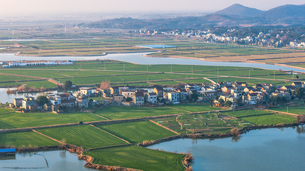 Chinese vice premier calls for further modernization of water networks