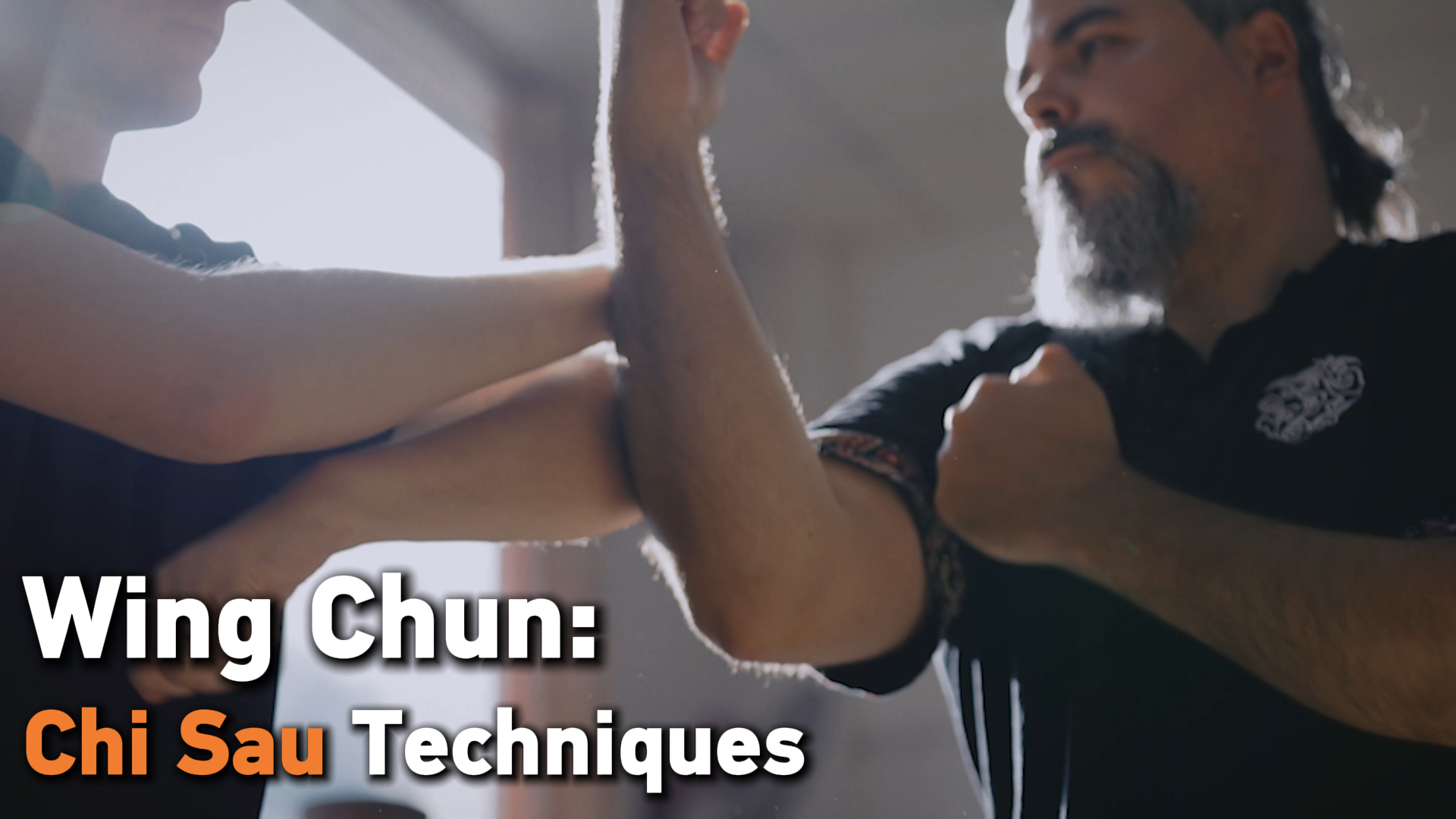 Wing Chun: Chi Sau techniques