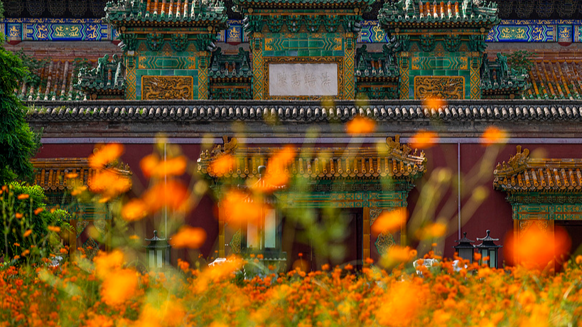 Beihai Park is brimming with spring vitality