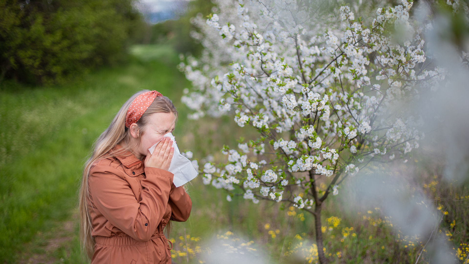 Beijing introduces new pollen tech, experts advise protection