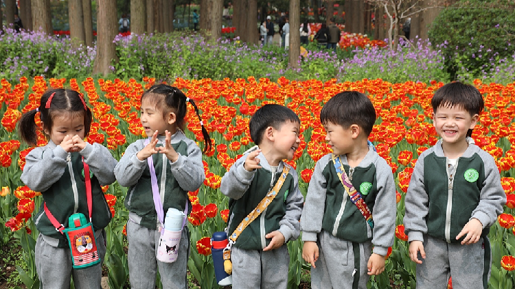 Spring break gains ground in China, blending learning and travel
