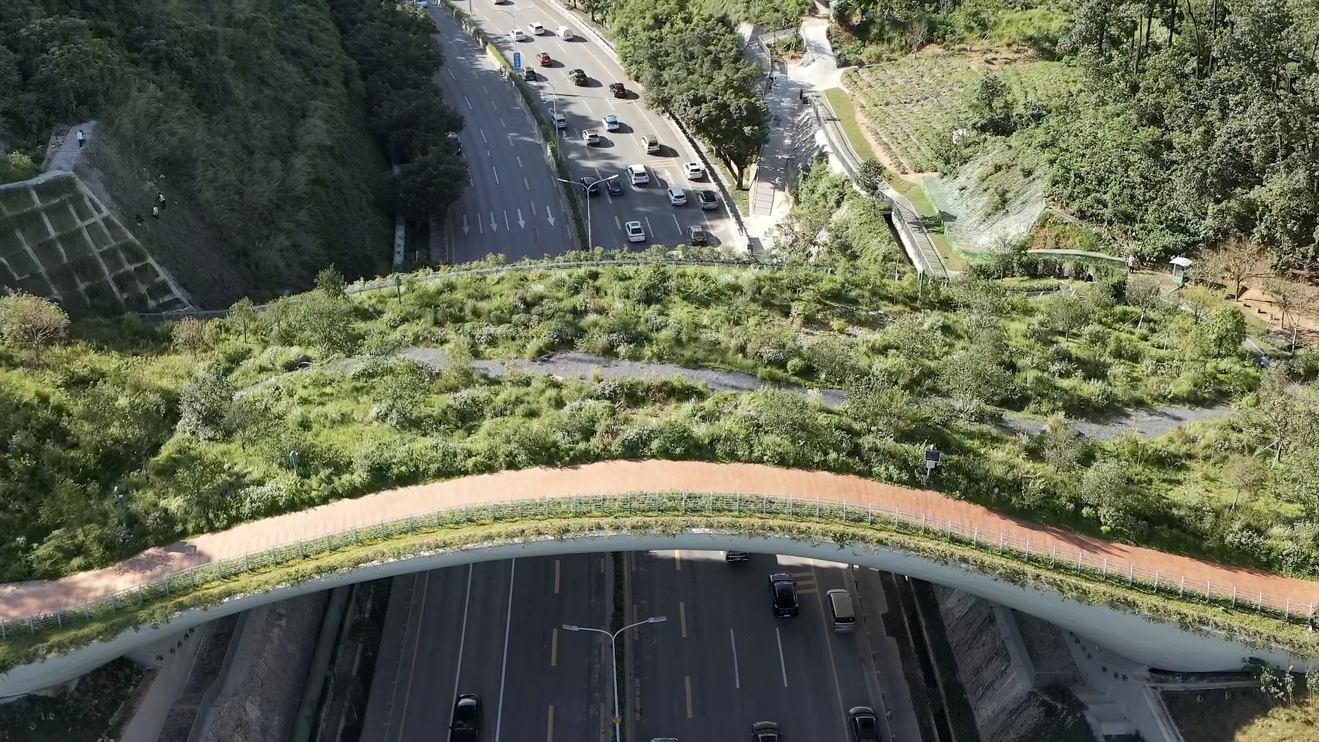 This bridge in China lets wildlife safely cross a busy highway