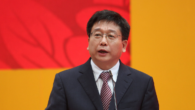 UNESCO appoints Chen Qun as assistant director-general for education