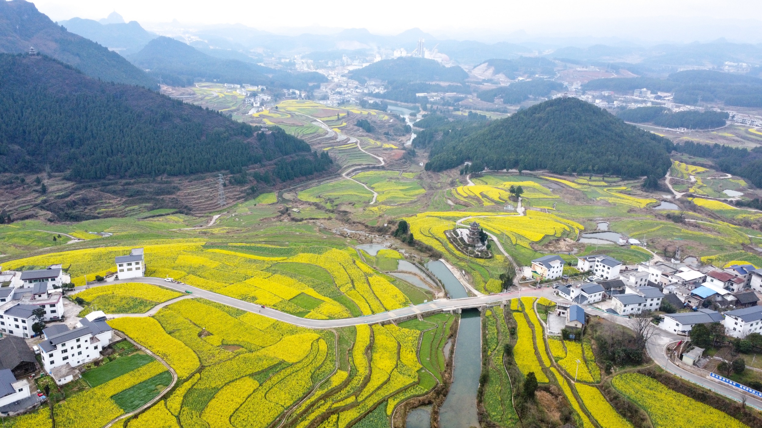 Blooming rapeseed flowers are seen in Guojiawan Village, Yuping Dong Autonomous County, southwest China's Guizhou Province on March 5, 2026. /Tongren Media Convergence Center