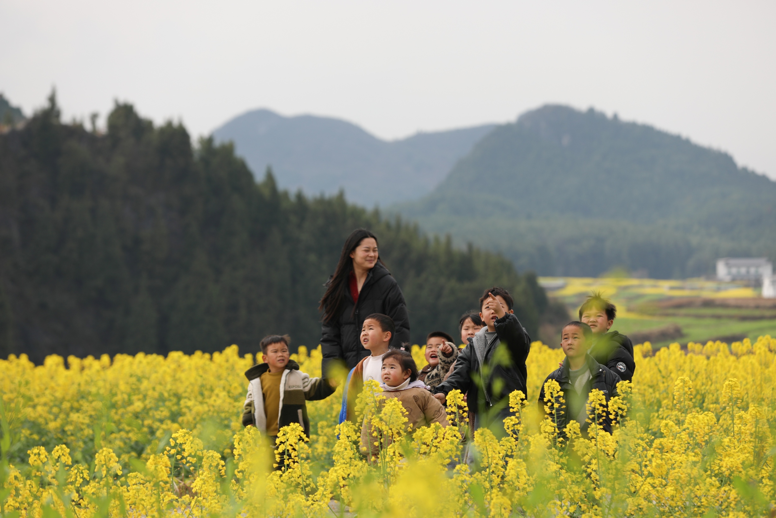 People enjoy blooming rapeseed flowers in Guojiawan Village, Yuping Dong Autonomous County, southwest China's Guizhou Province on March 5, 2026. /Tongren Media Convergence Center