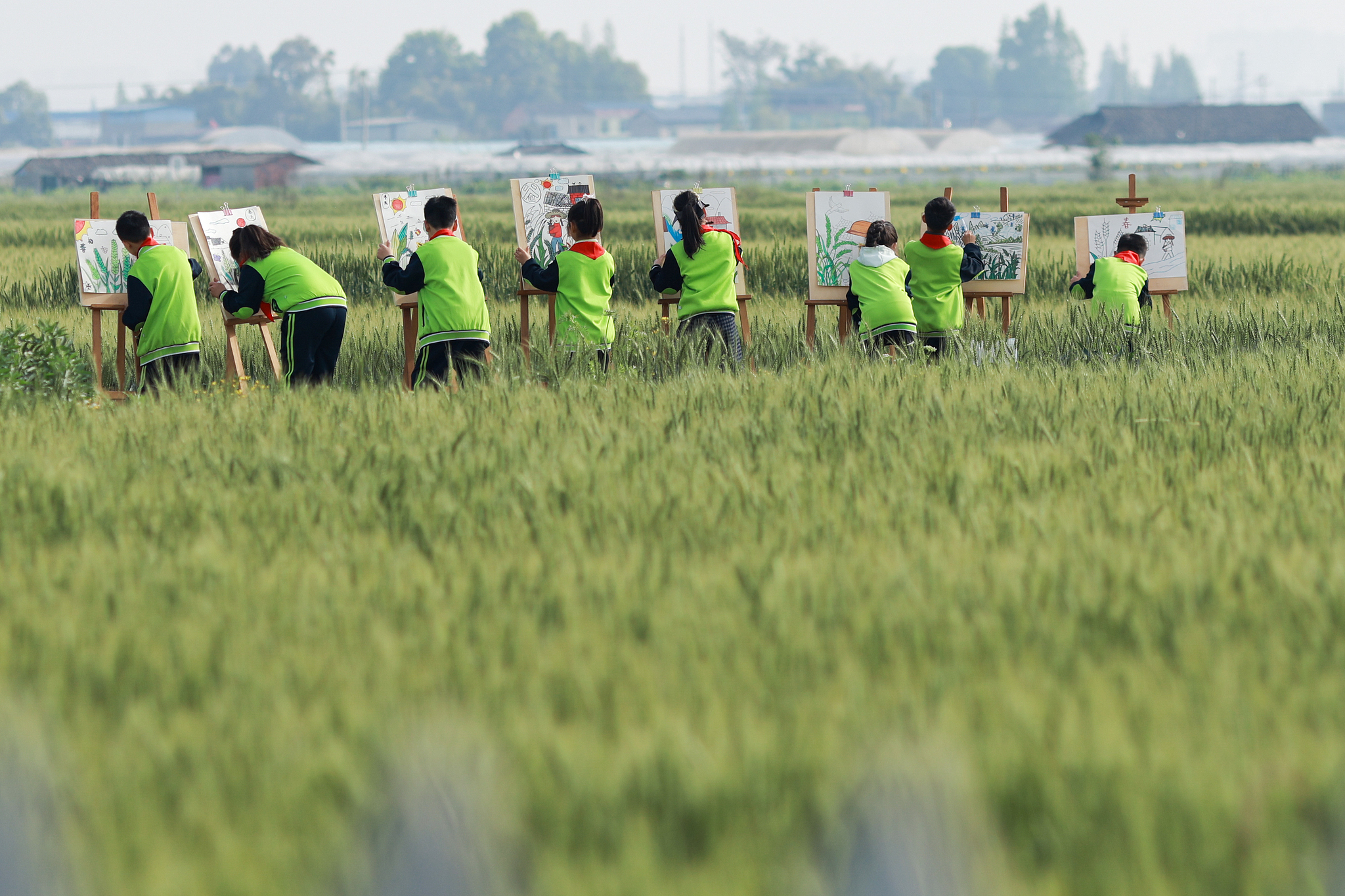 Students go on a spring break study tour to the wheat fields in Meishan, Sichuan Province, April 1, 2026. /VCG