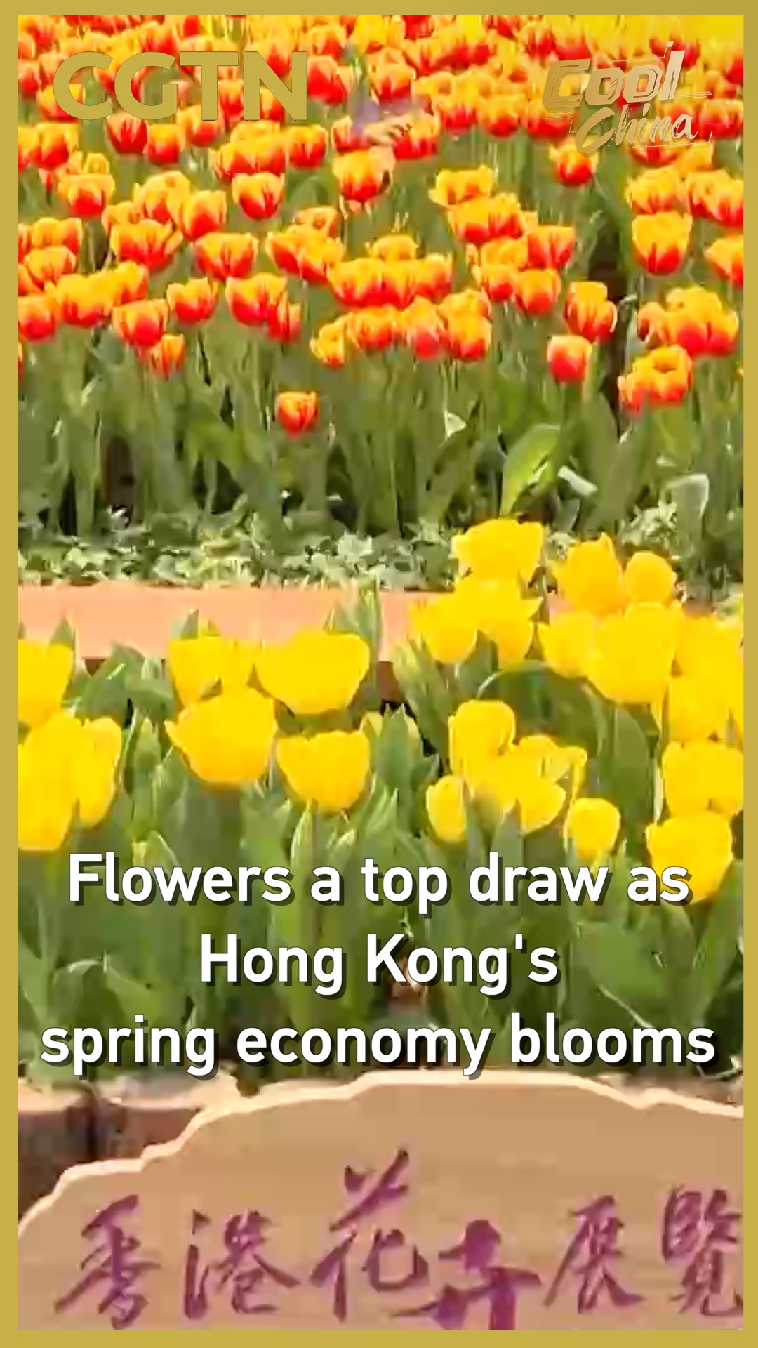 Flowers a top draw as Hong Kong's spring economy blooms
