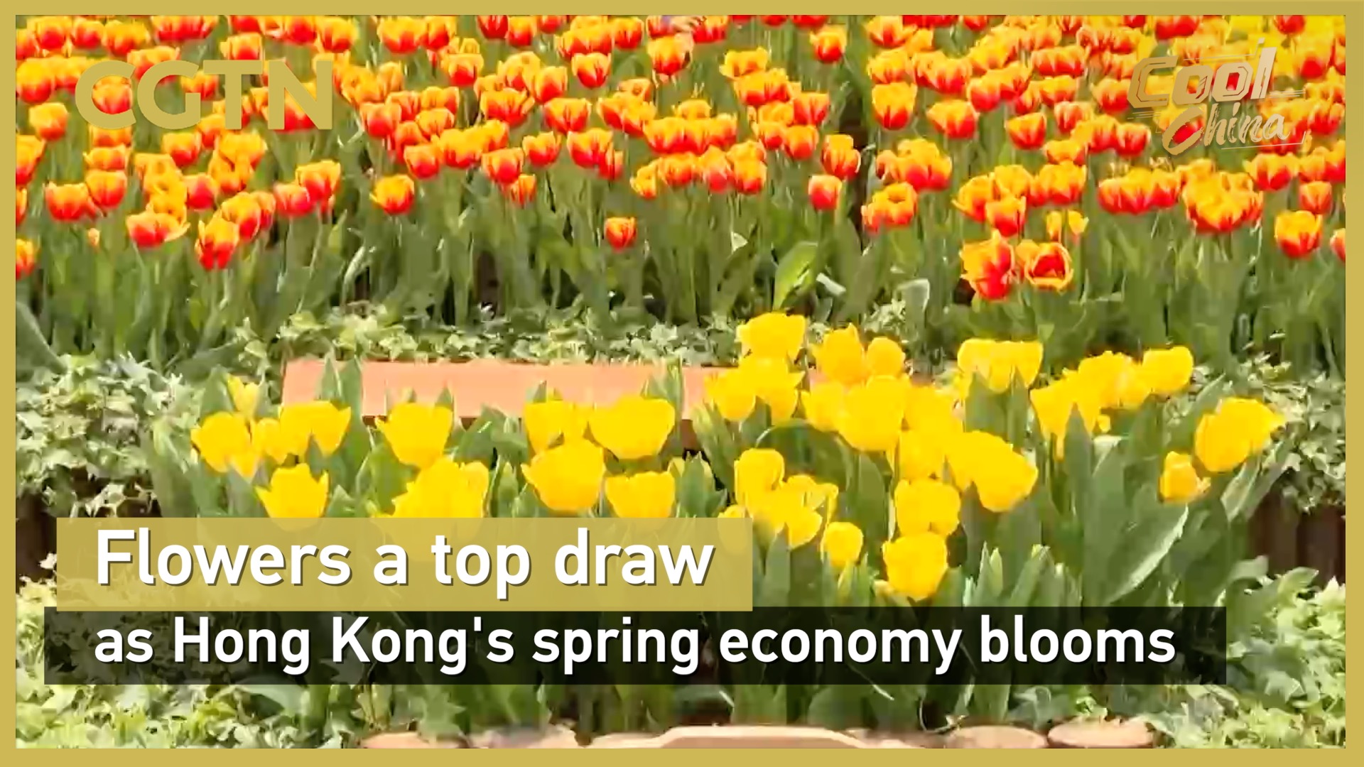 Flowers a top draw as Hong Kong's spring economy blooms