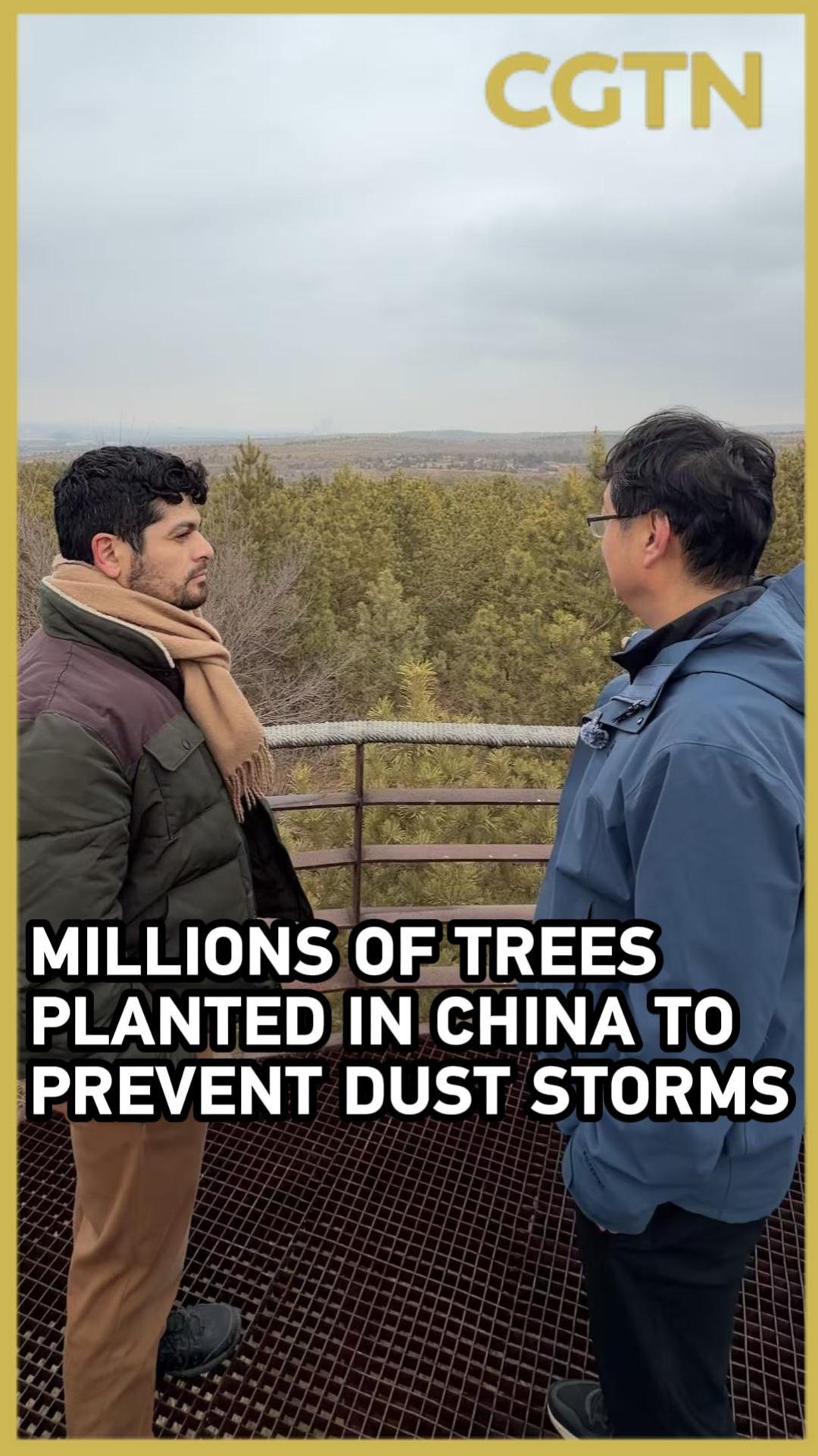 Millions of trees planted in China to prevent dust storms