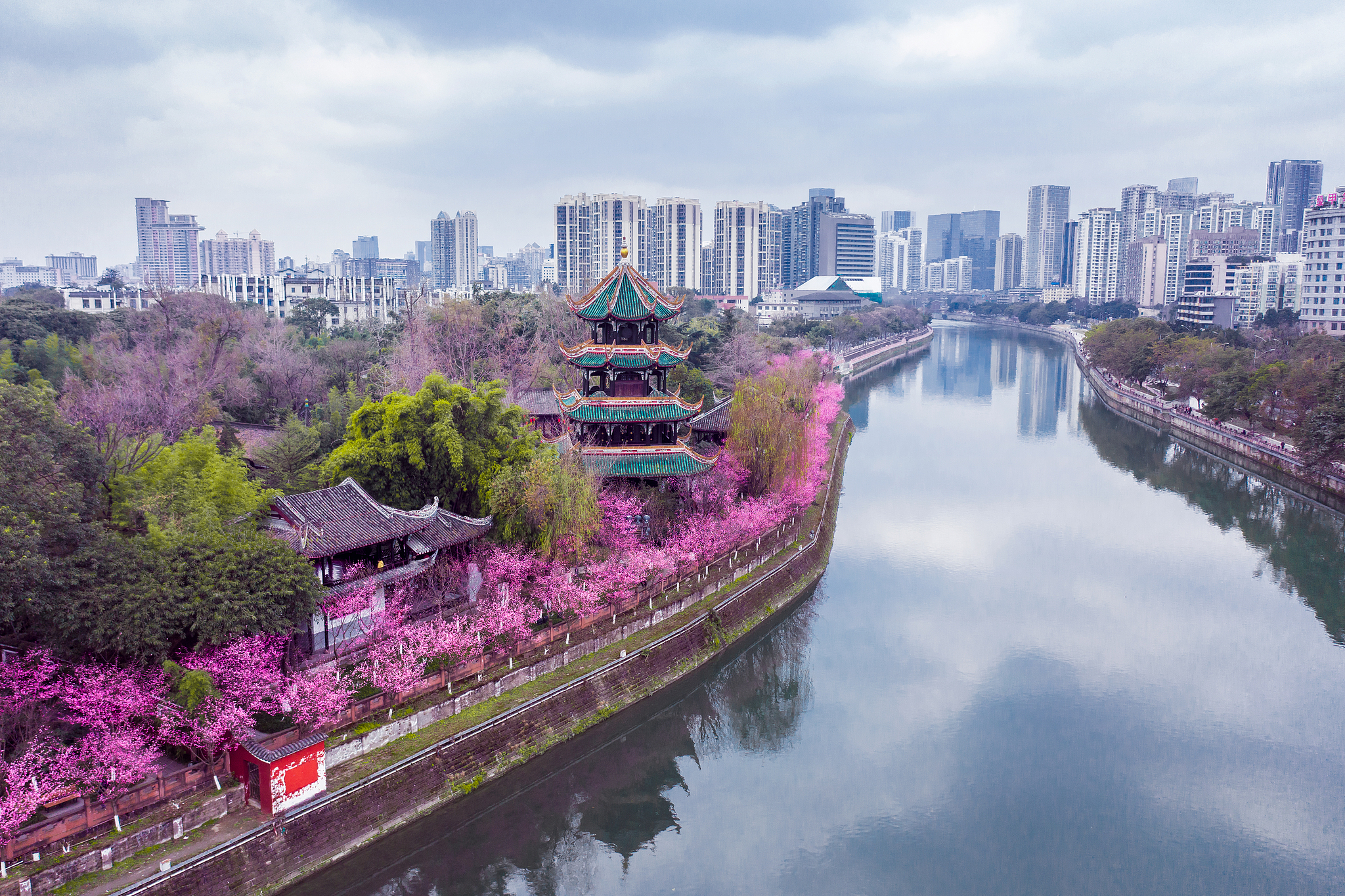 Spring blossoms at Wangjiang Park. /VCG