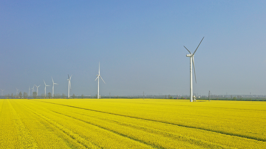China uses technological innovations to power clean energy transition