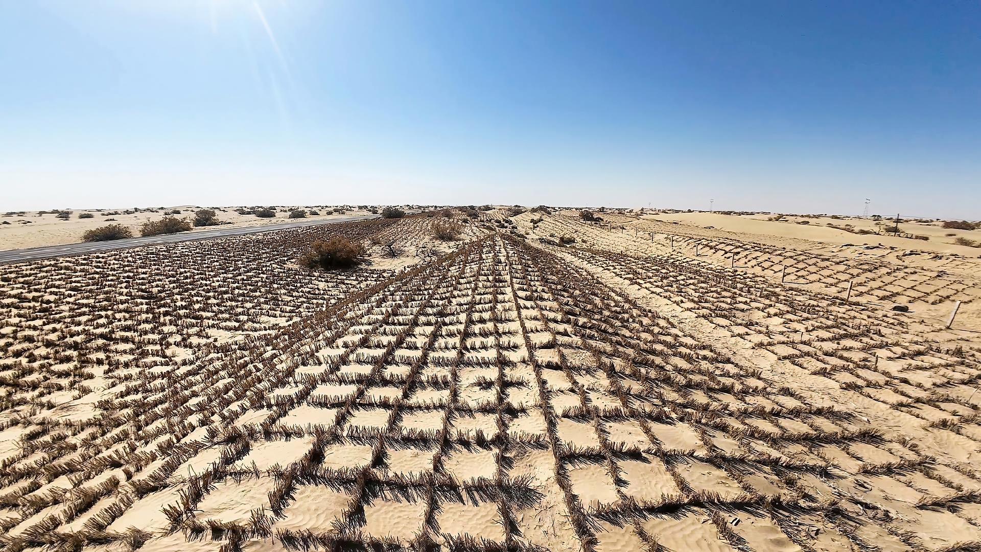 Live: China advances desert control with tech-driven greening in Taklimakan