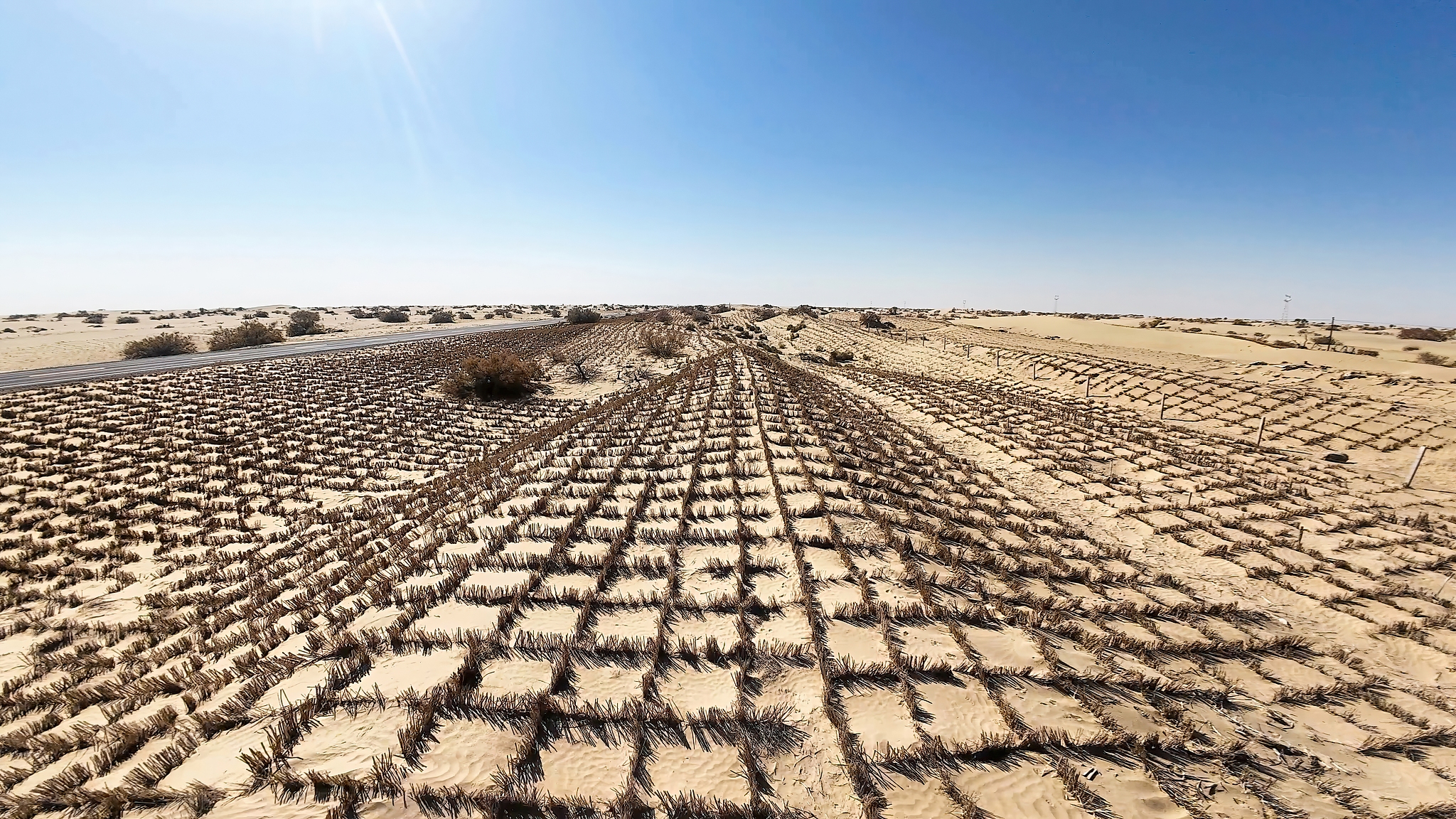 Live: China advances desert control with tech-driven greening in Taklimakan