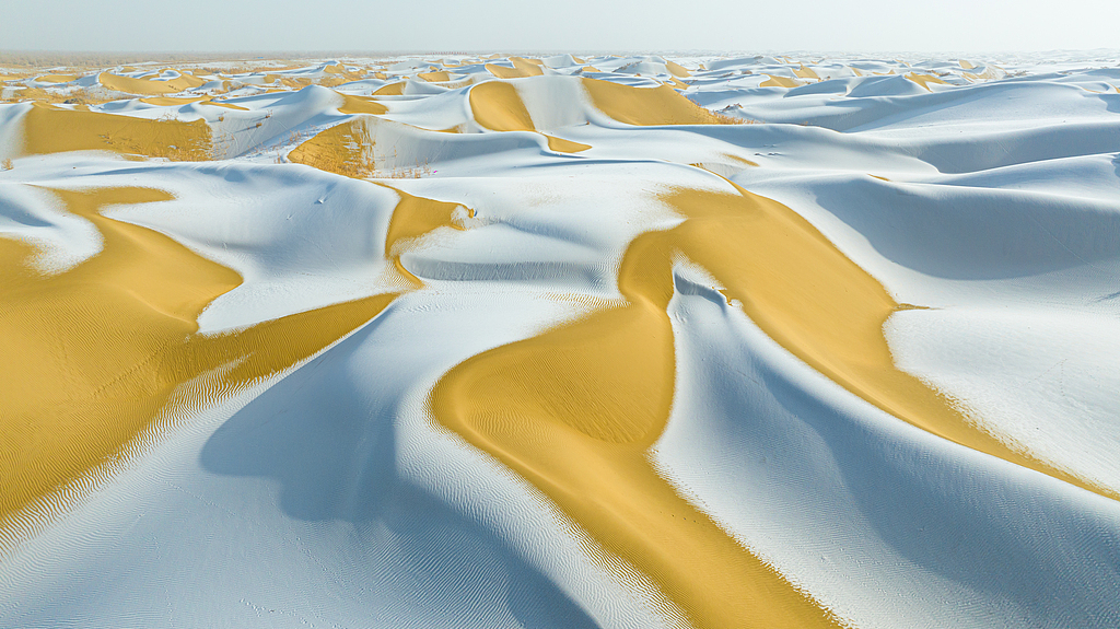 Machinery accelerates green expansion in Taklimakan Desert in Xinjiang