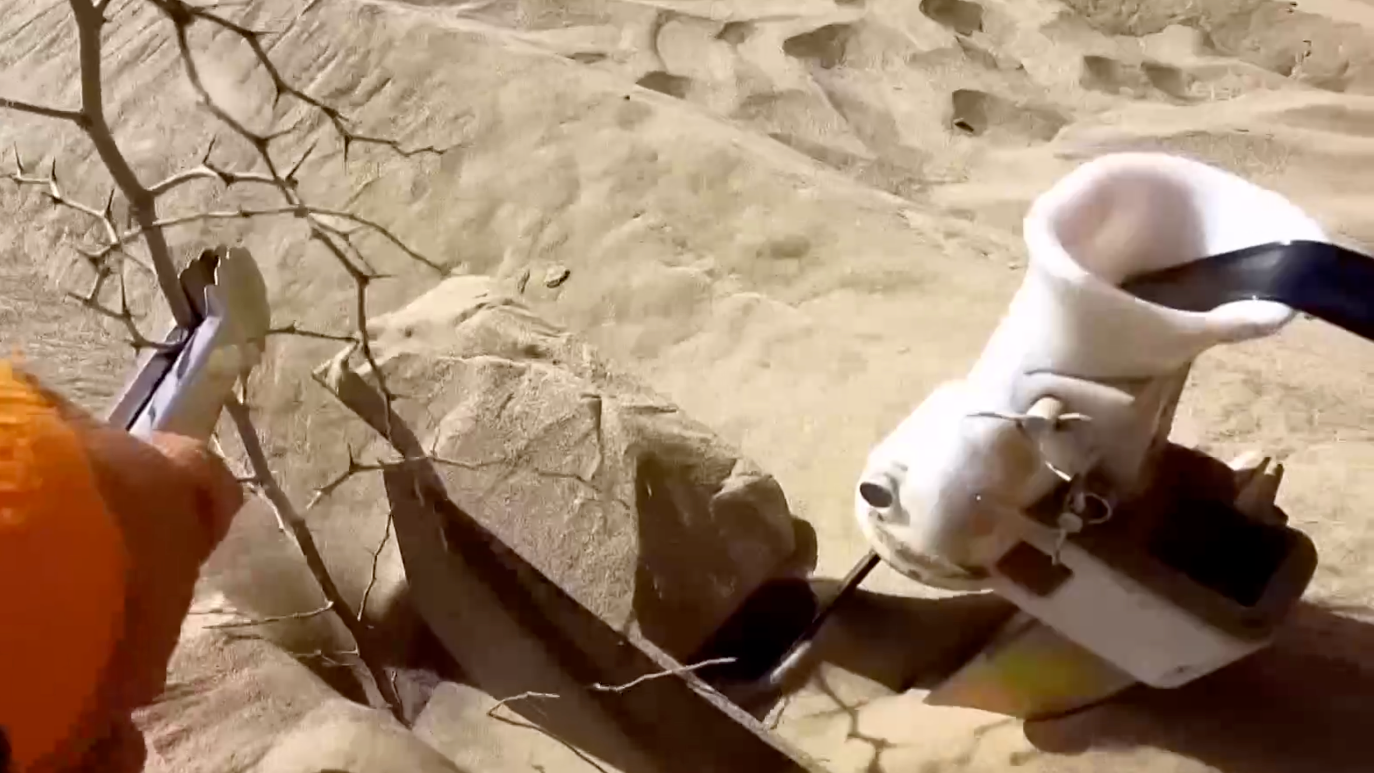 Seedlings are planted with the help of tree-planting machines. /CMG