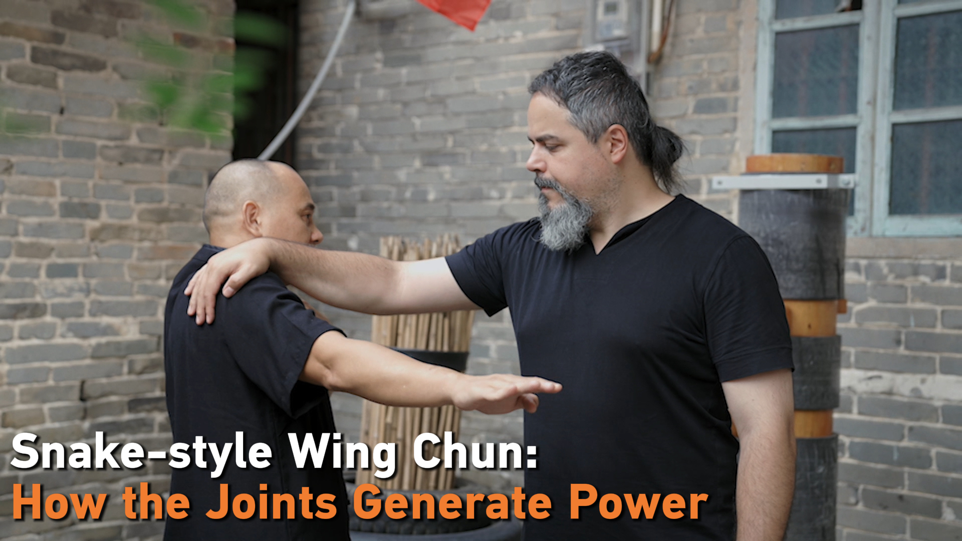 Snake-style Wing Chun: How the joints generate power