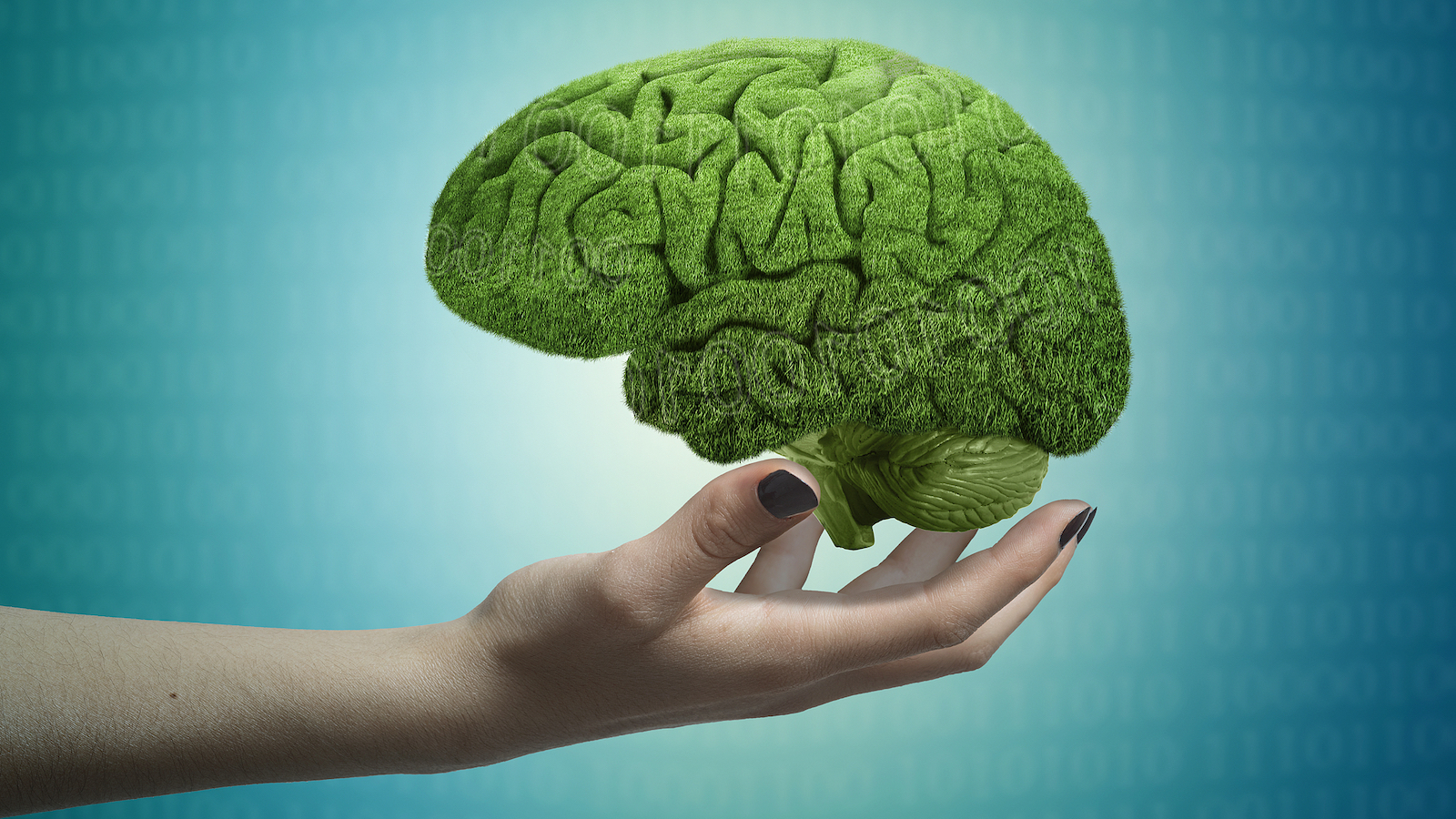 Chinese scientists reveal how brain switches thought, perception