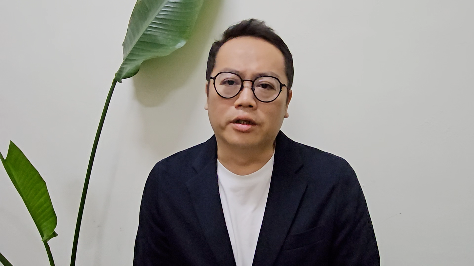 Labor Party of Taiwan backs KMT delegation's visit to mainland