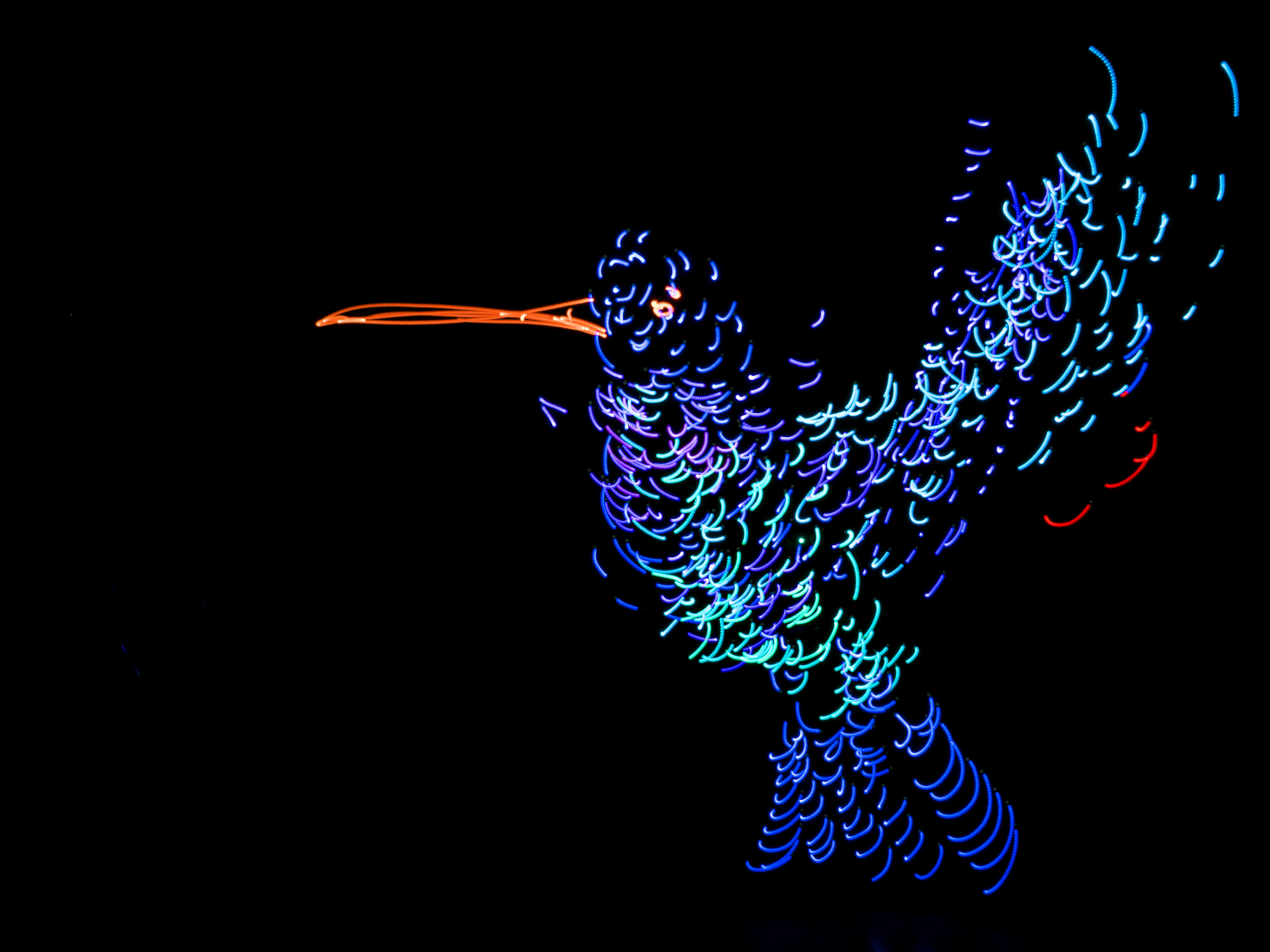 Lighting the way for a greener future