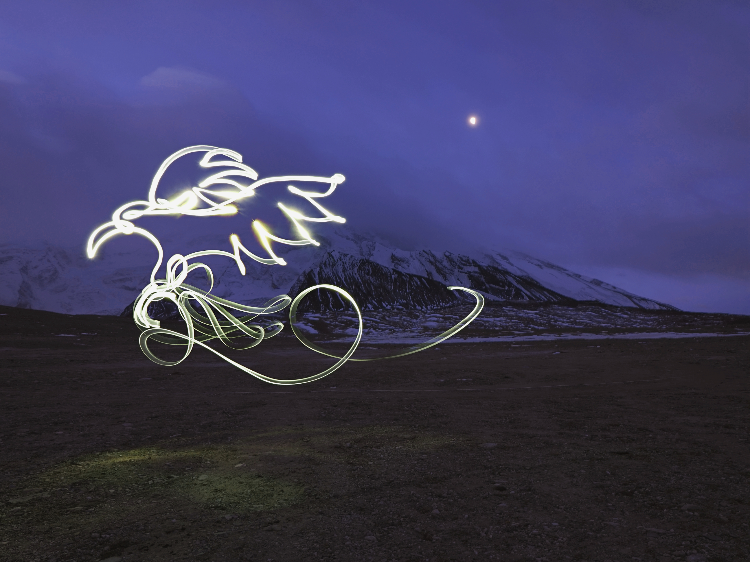 Lighting the way for a greener future