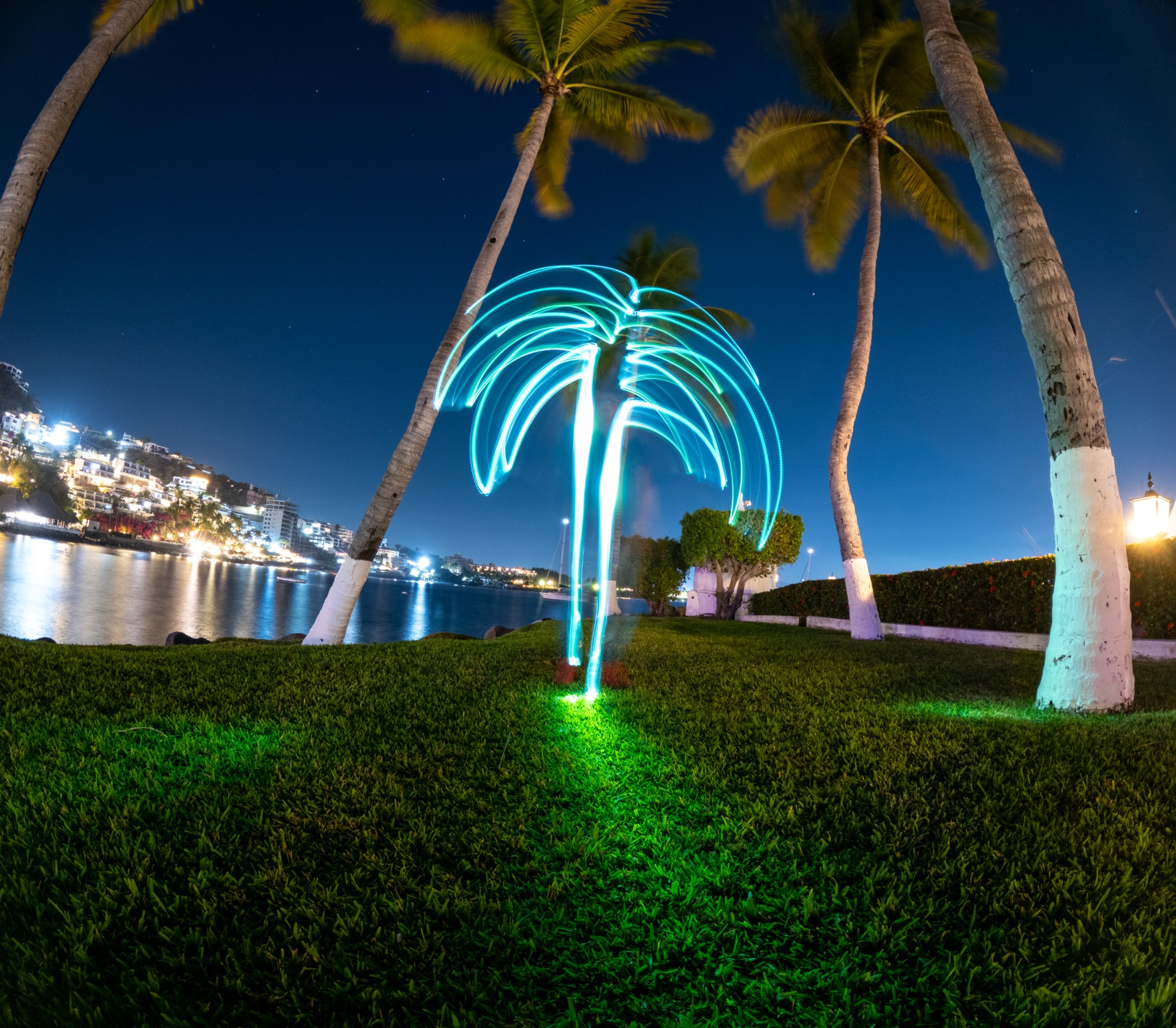 Lighting the way for a greener future