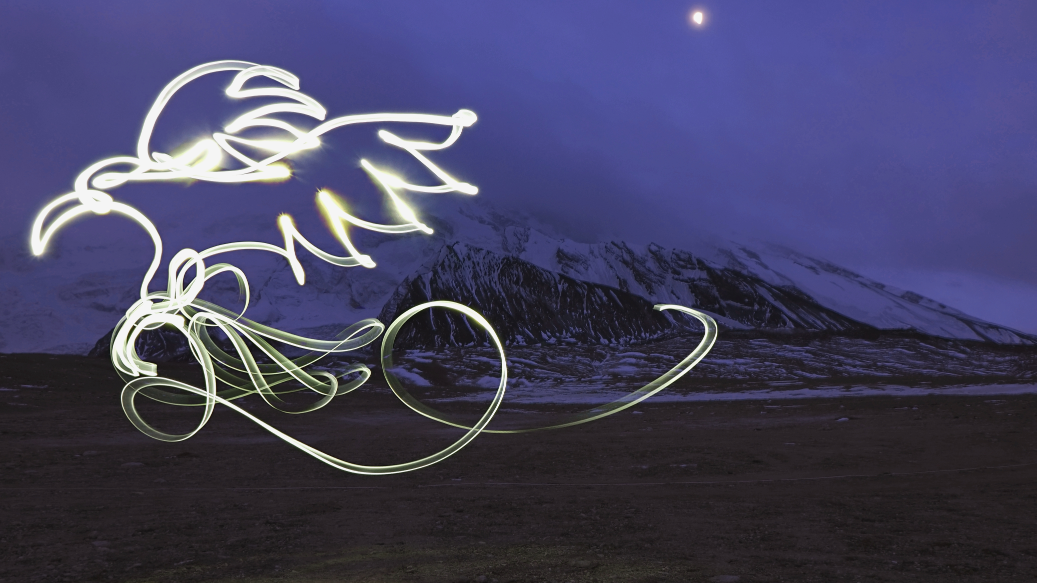 Lighting the way for a greener future