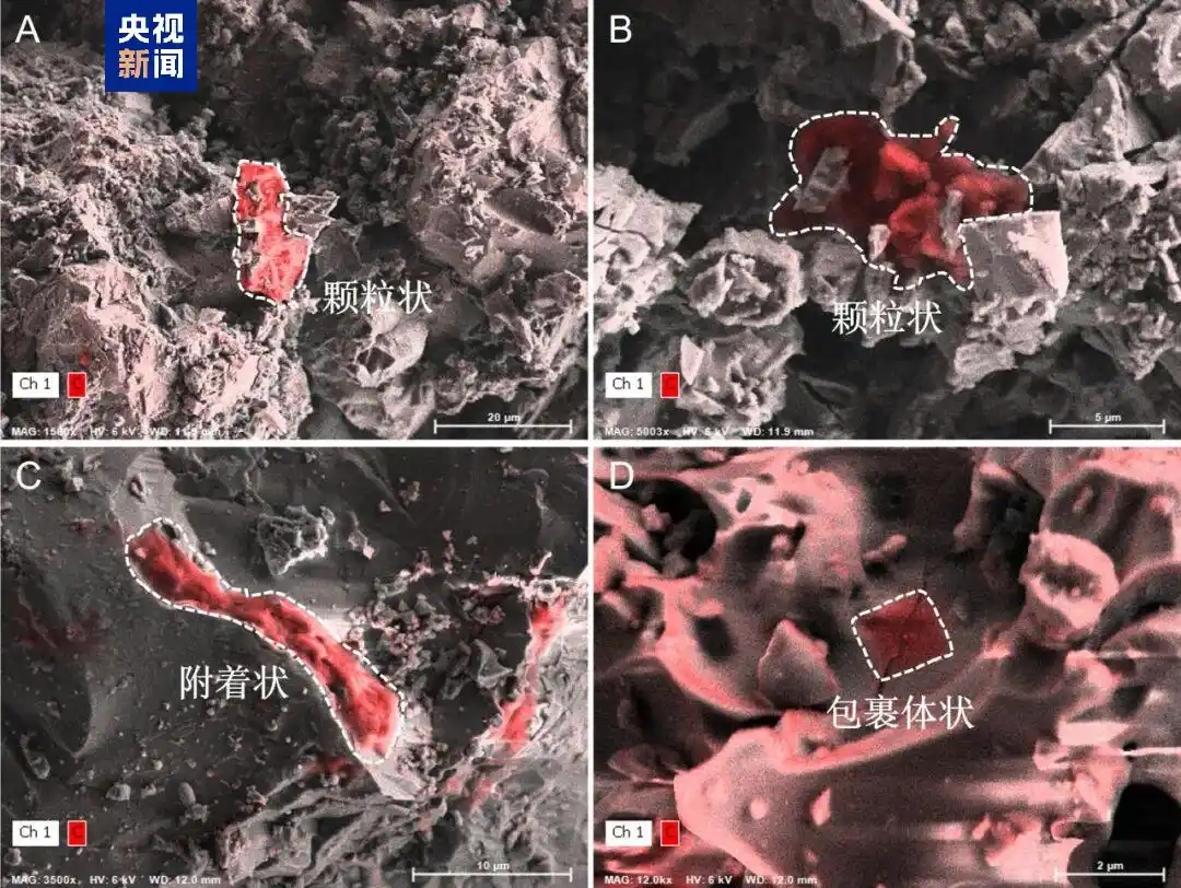 Representative organic matter in lunar soil samples from Chang'e-6 (A, B) and Chang'e-5 (C, D). /CMG
