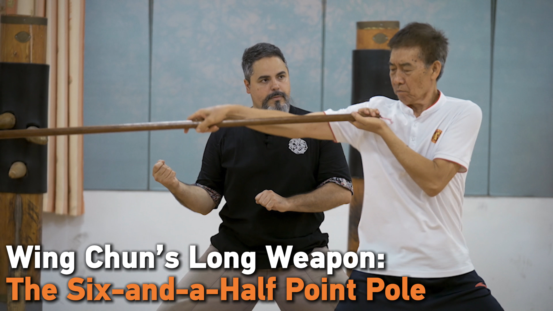 Wing Chun's long weapon: The six-and-a-half point pole