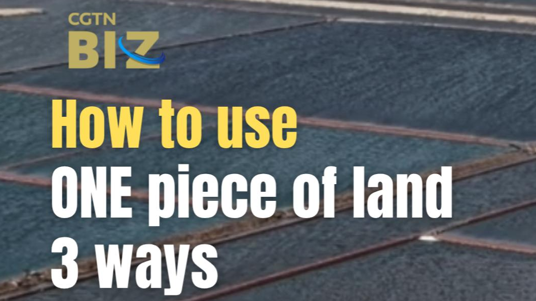 How to use ONE piece of land 3 ways