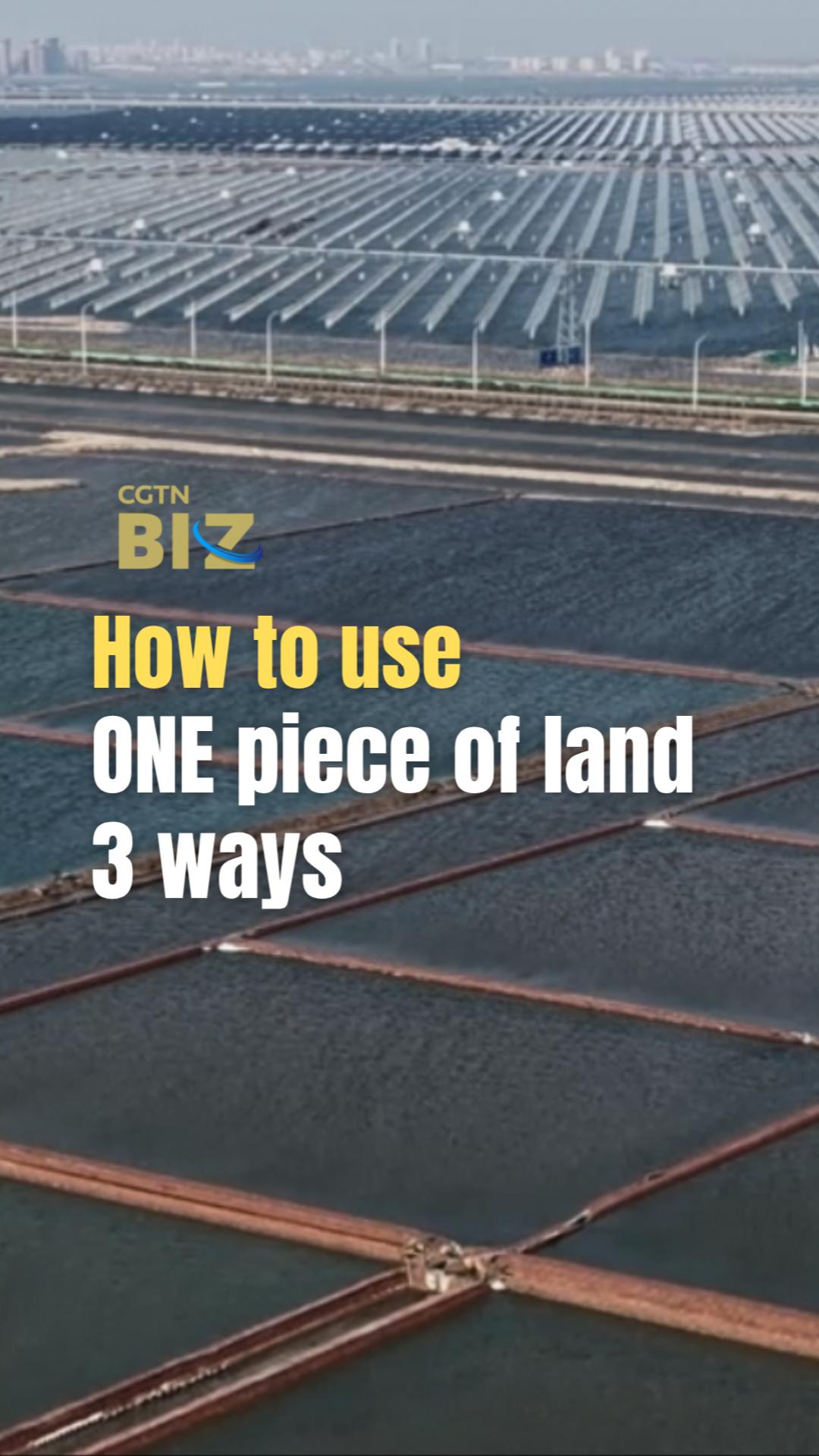 How to use ONE piece of land 3 ways
