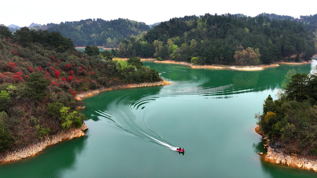 Live: Immersed in Dujuan Lake Scenic Area in Changshun, Guizhou