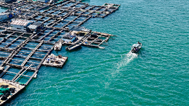 Live: Lingshui's Tanka fishing rafts in Hainan