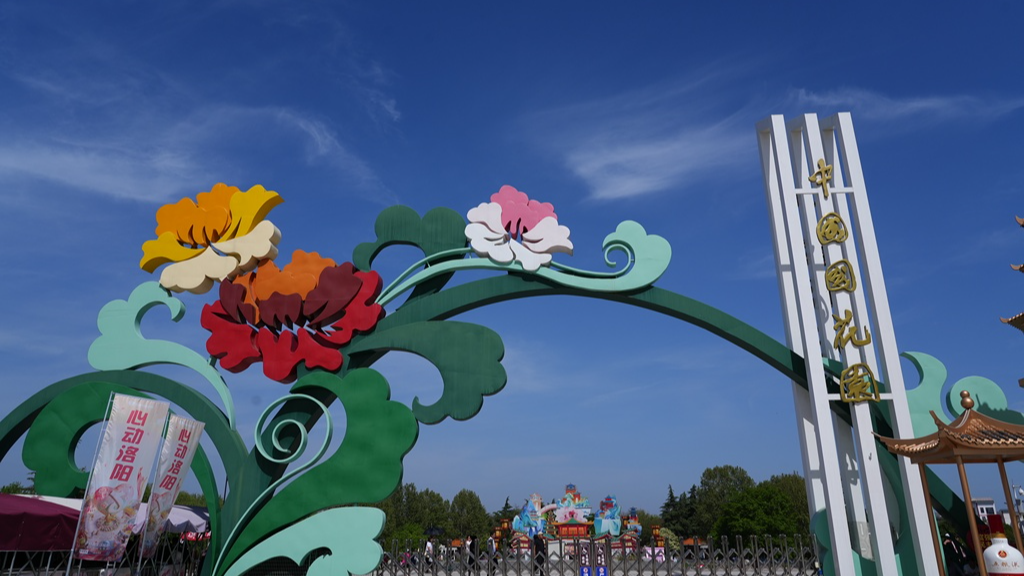 Luoyang Peony Festival reaches its peak