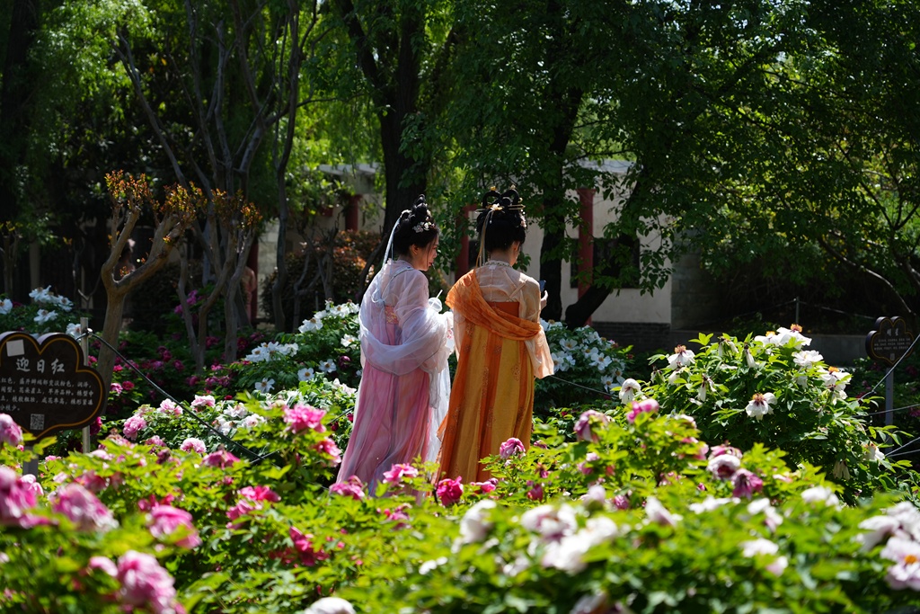 As the spring breezes arrive in Luoyang, Henan Province, the divine capital bursts into full bloom. /VCG