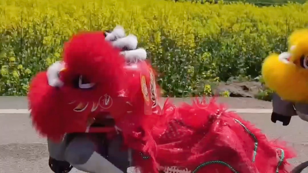 POV: Puppy? Double check