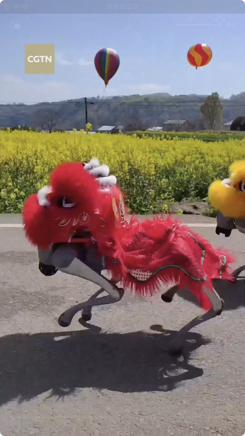 POV: Puppy? Double check