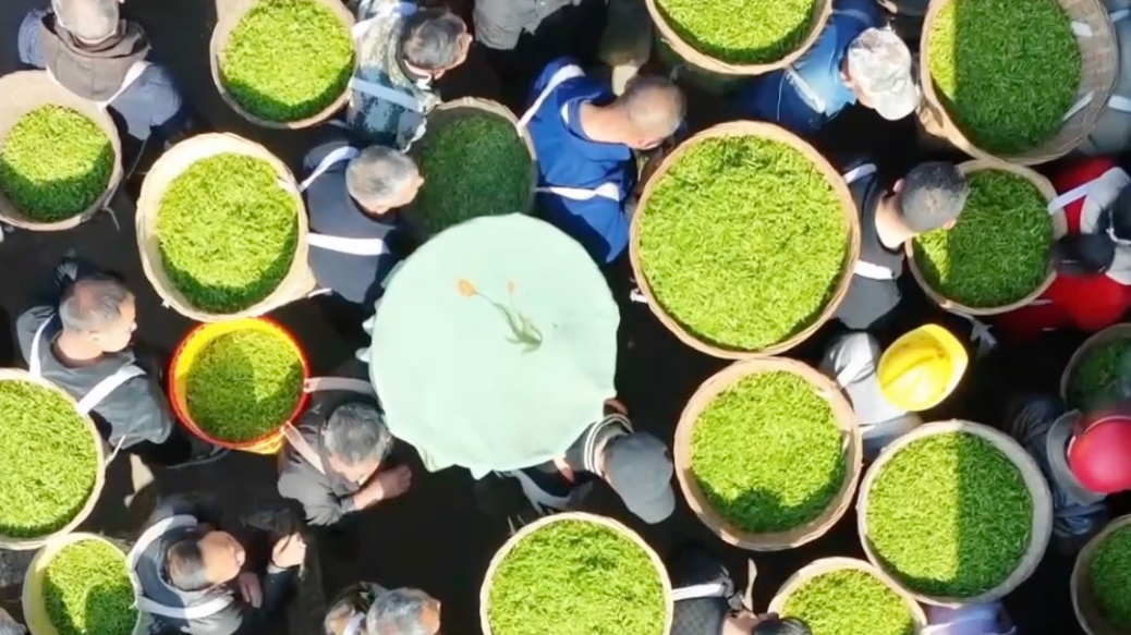 POV: You just find spring in a cup