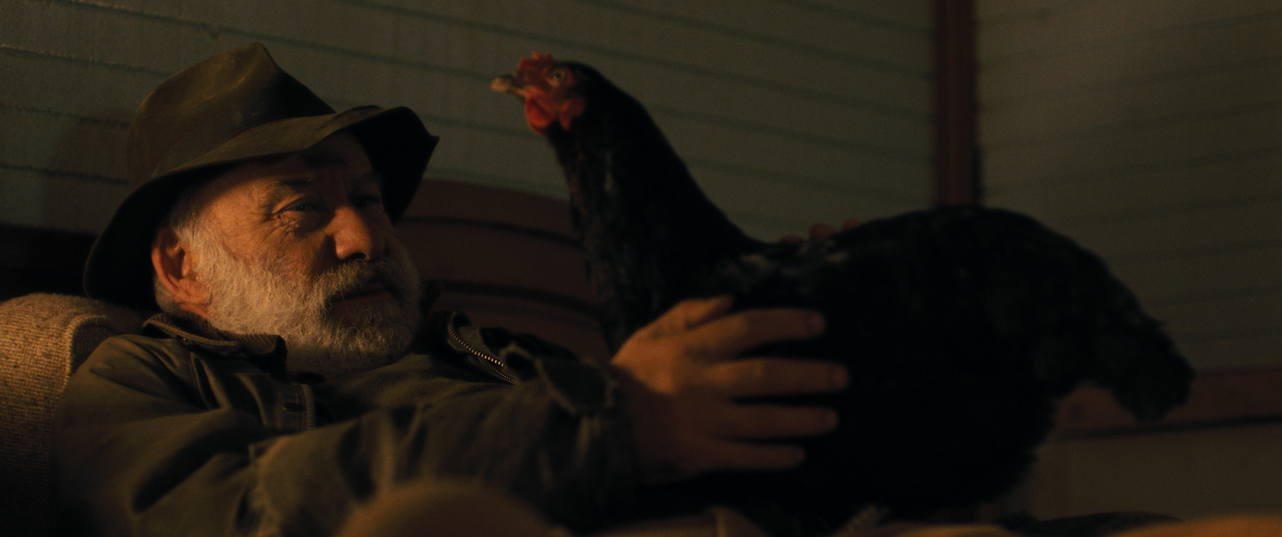 A film still from Hen /16th Beijing International Film Festival