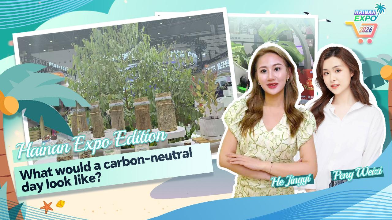 Live: What would a carbon-neutral day look like?