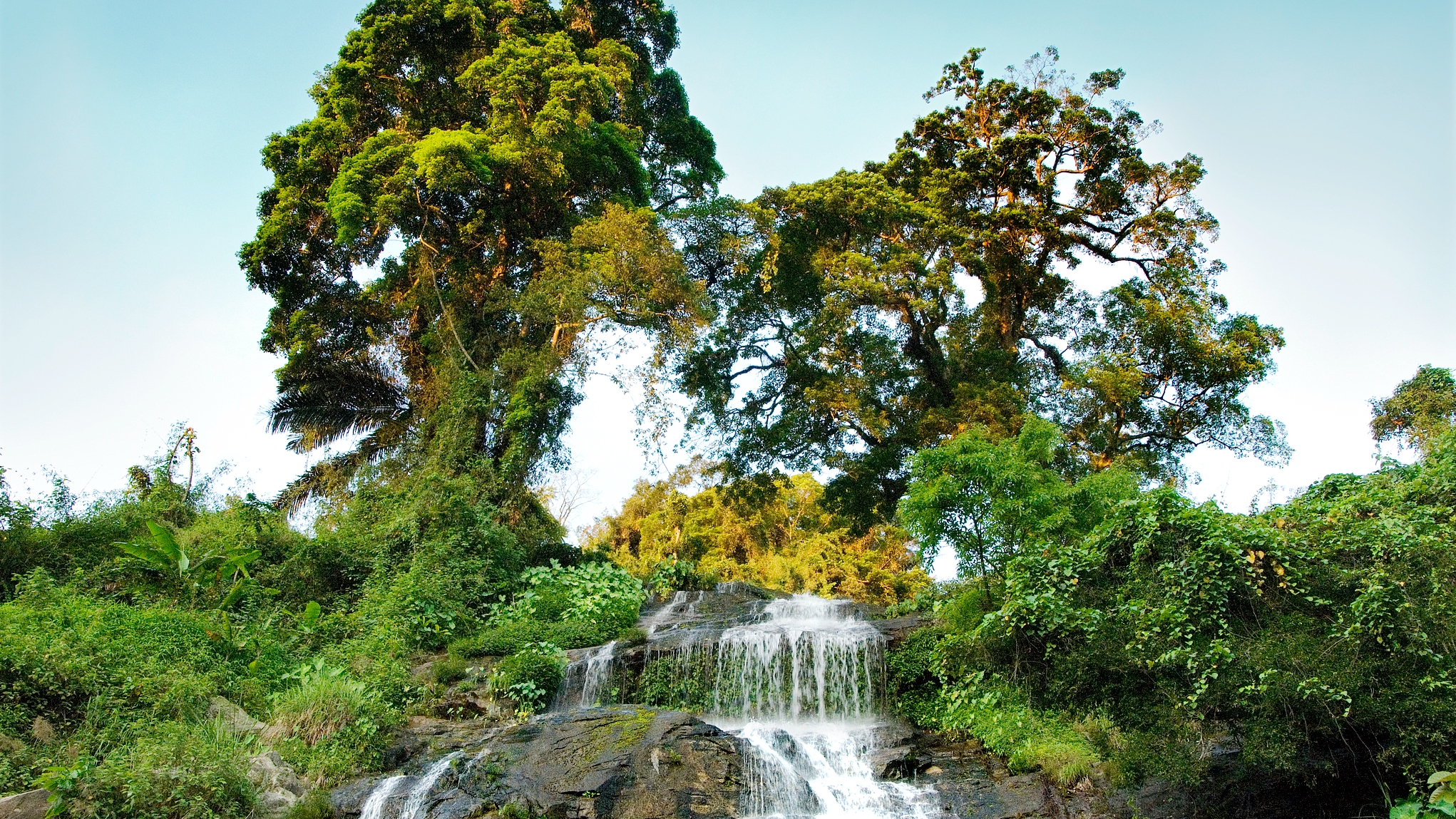 Spring escape: Take a deep breath at Hainan's Baihua Ridge