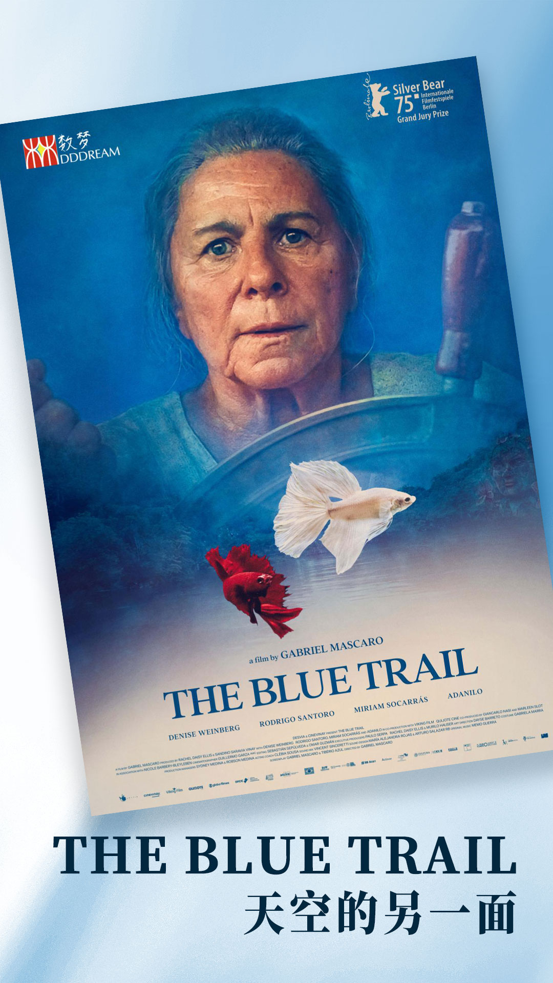 The Blue Trail 