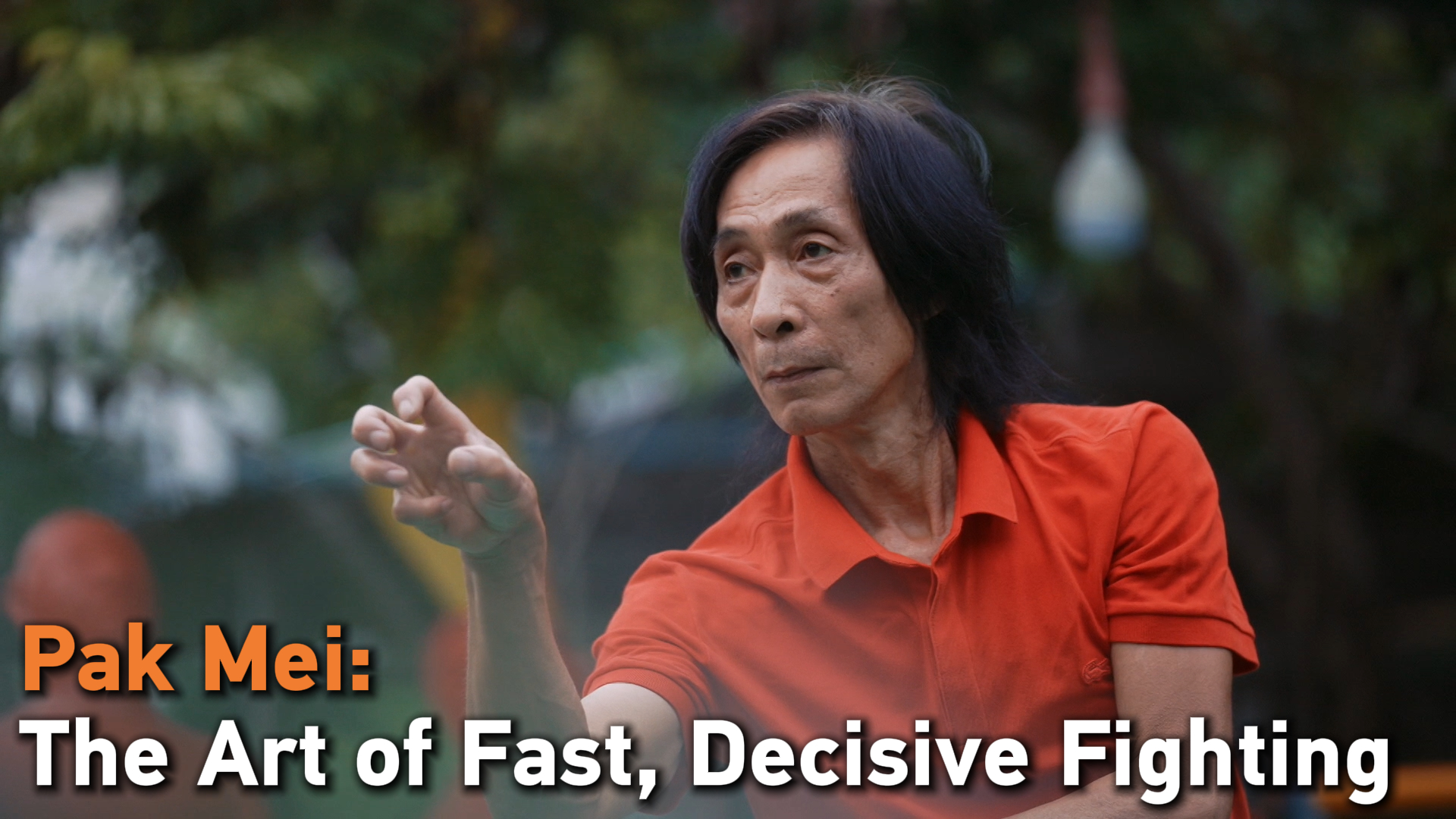 Pak Mei: The martial art of fast, decisive fighting