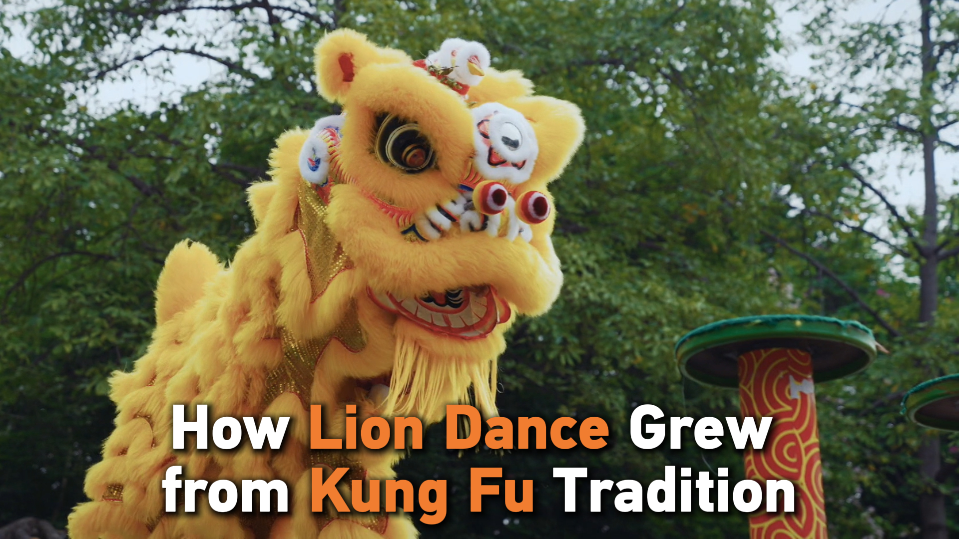 The evolution of the lion dance from kung fu tradition