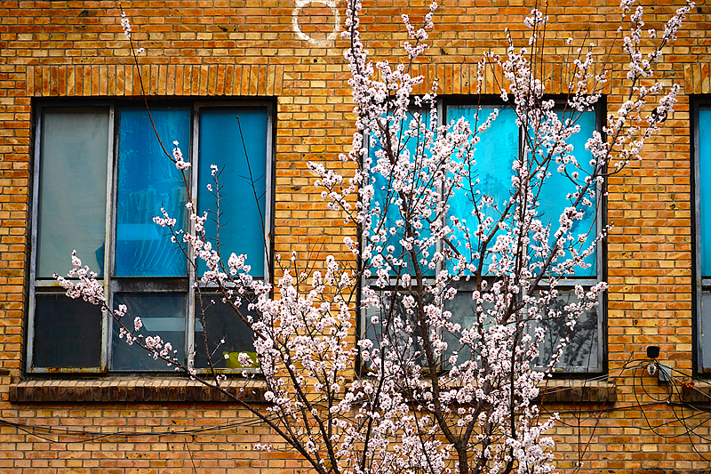 798 Art District: Industrial backdrops and cinematic finds