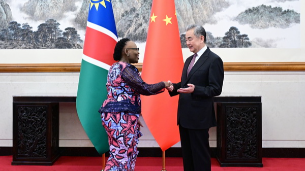 Chinese Foreign Minister Wang Yi meets with Selma Ashipala-Musavyi, Namibia's Minister of International Relations and Trade, Beijing, capital of China, April 17, 2026. /VCG