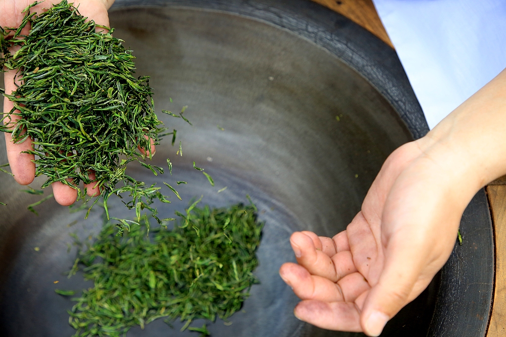 A tea artisan pan-fries fresh spring tea leaves in Rizhao, Shandong Province on April 16, 2026. /VCG