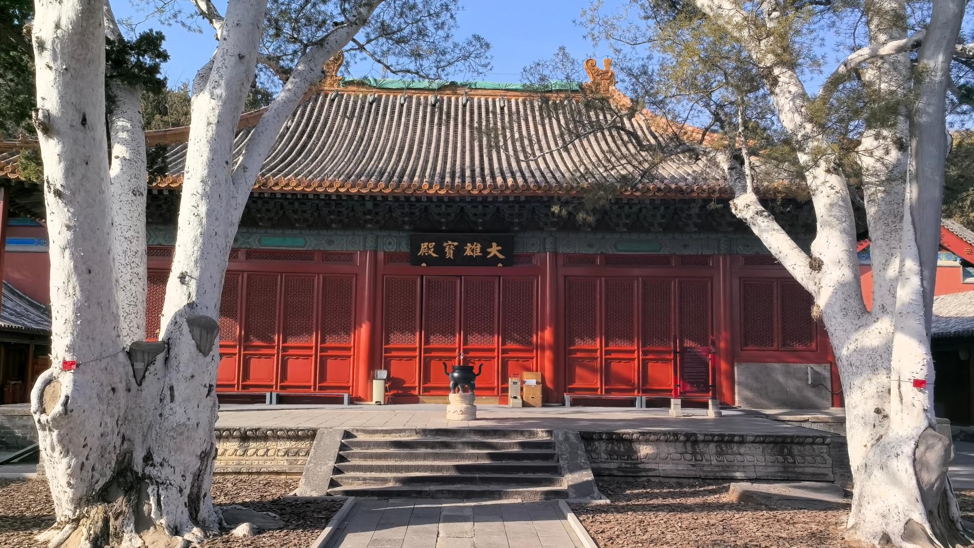 Beijing Fahai Temple: Ancient temple on screen